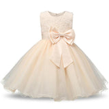 Princess Baby Flower Dress - Baby King Stores